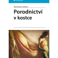 Porodnictví - E-kniha