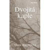 Dvojitá kaple - E-kniha
