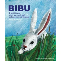 Bibu - E-kniha