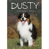 Dusty: Záchranář v nouzi - E-kniha