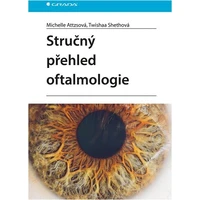 Stručný přehled oftalmologie - E-kniha