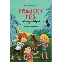 Projekt pes (prázdniny v Beskydech) - E-kniha