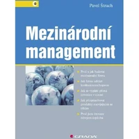 Mezinárodní management - E-kniha