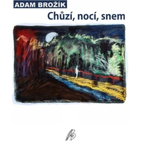 Chůzí, nocí, snem - E-kniha