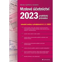 Mzdové účetnictví 2023 - E-kniha