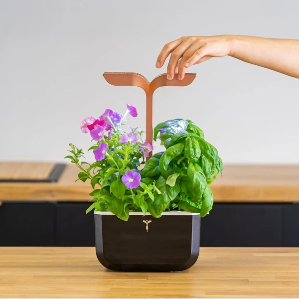 Véritable Exky SMART automatický květináč s regulací osvětlení (2ks Lingot) černý - Květináče - Obrázek ad06e302031c4976bb3d9d2e09fea8f2