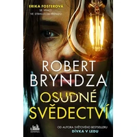Osudné svědectví - E-kniha