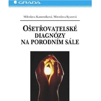 Ošetřovatelské diagnózy na porodním sále - E-kniha