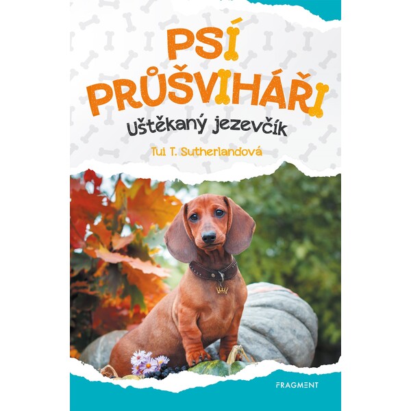 Psí průšviháři – Uštěkaný jezevčík