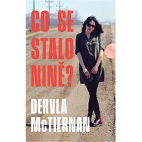 Co se stalo Nině? - E-kniha