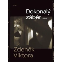 Dokonalý záběr - E-kniha