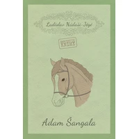 Adam Šangala - E-kniha