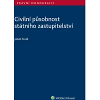 Civilní působnost státního zastupitelství - E-kniha