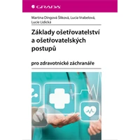 Základy ošetřovatelství a ošetřovatelských postupů - E-kniha