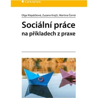Sociální práce na příkladech z praxe - E-kniha