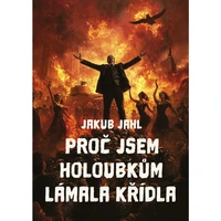 Proč jsem holoubkům lámala křídla - E-kniha