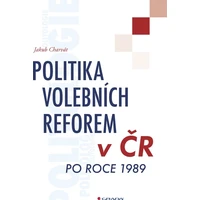 Politika volebních reforem v ČR po roce 1989 - E-kniha