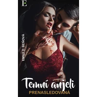 Temní anjeli - Prenasledovaná - E-kniha