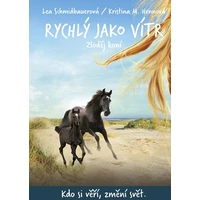 Rychlý jako vítr: Zloděj koní - E-kniha