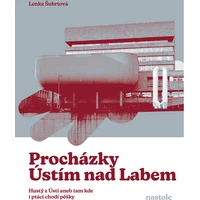 Procházky Ústím nad Labem - E-kniha