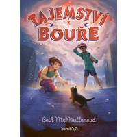 Tajemství z bouře - E-kniha