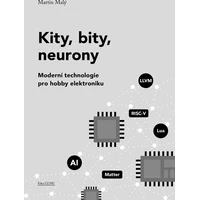 Kity, bity, neurony - E-kniha