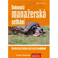 Dokonalá manažerská selhání - E-kniha