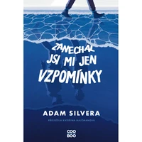 Zanechal jsi mi jen vzpomínky - E-kniha