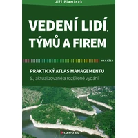 Vedení lidí, týmů a firem - E-kniha