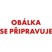 Čteme sami - genetická metoda - Pohádkový kalendář - E-kniha