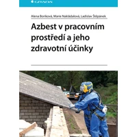Azbest v pracovním prostředí a jeho zdravotní účinky - E-kniha