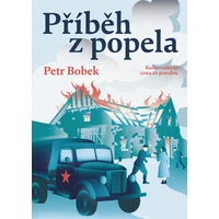 Příběh z popela - E-kniha