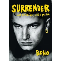 Surrender: 40 skladieb, jeden príbeh - E-kniha