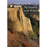 Neznámá tvář Prahy - E-kniha