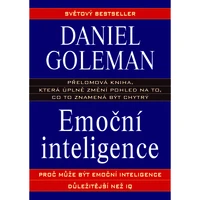 Emoční inteligence - E-kniha