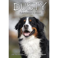 Dusty 9: Záchranca v núdzi - E-kniha