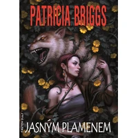 Jasným plamenem - E-kniha