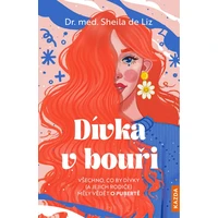 Dívka v bouři - E-kniha