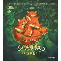 Nejlepší maminka na světě - E-kniha