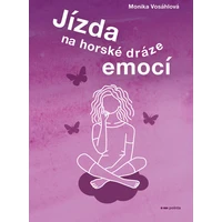 Jízda na horské dráze emocí - E-kniha