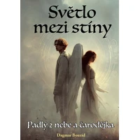 Světlo mezi stíny - E-kniha