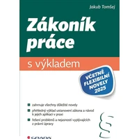 Zákoník práce s výkladem - E-kniha