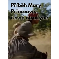 Příběh Mary Princeové, černé otrokyně - E-kniha