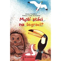 Myslí ptáci na legraci? - E-kniha