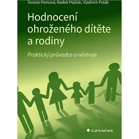 Hodnocení ohroženého dítěte a rodiny - E-kniha