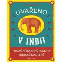 Uvařeno v Indii - E-kniha