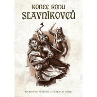 Konec rodu Slavníkovců - E-kniha