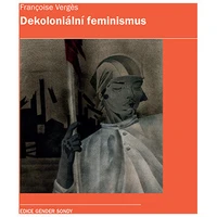 Dekoloniální feminismus - E-kniha