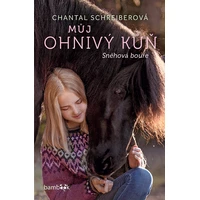 Můj ohnivý kůň – Sněhová bouře - E-kniha
