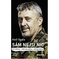 Sám nejsi nic  - E-kniha